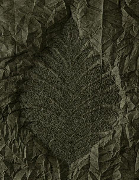 Detailed view of Luxus Eden Palm Quilt with fresh embroidered leaf design.