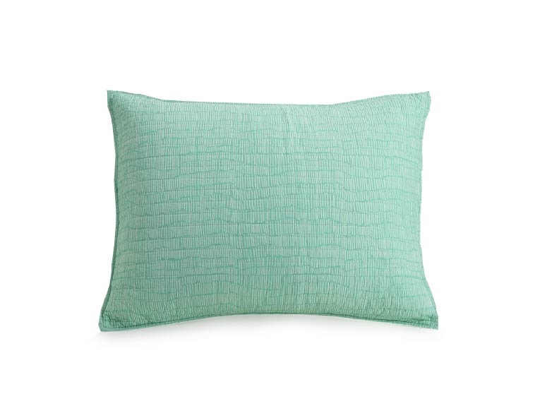 Elizabeth Olwen pillow sham with floral front and green reverse.